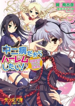 フランス書院「中二病だからハーレムしたい！　同級生はみんな妄想系」